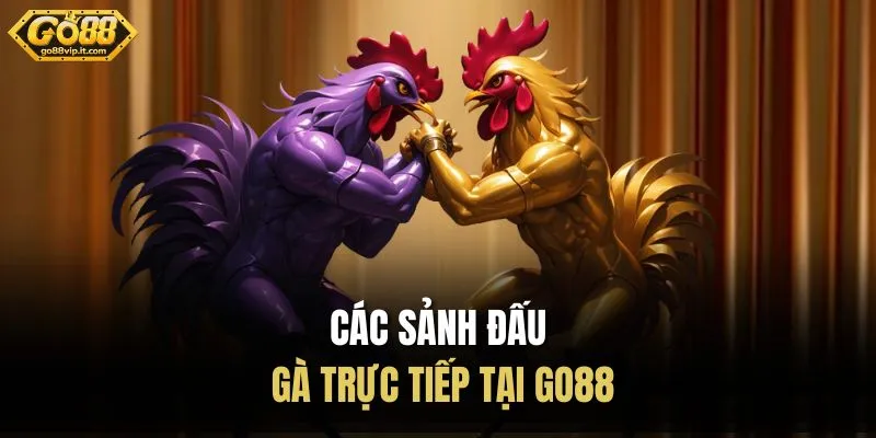 Đá Gà Go88 – Khám Phá Sảnh Cá Cược Gà Chất Lượng Các sảnh đấu gà trực tiếp tại Go88