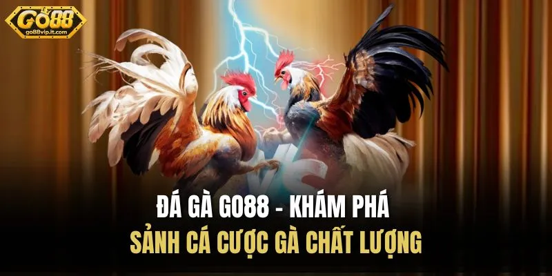 Đá Gà Go88 – Khám Phá Sảnh Cá Cược Gà Chất Lượng Đá Gà Go88 – Khám Phá Sảnh Cá Cược Gà Chất Lượng