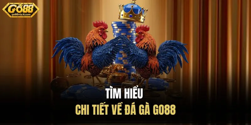 Đá Gà Go88 – Khám Phá Sảnh Cá Cược Gà Chất Lượng Tìm hiểu chi tiết về đá gà Go88